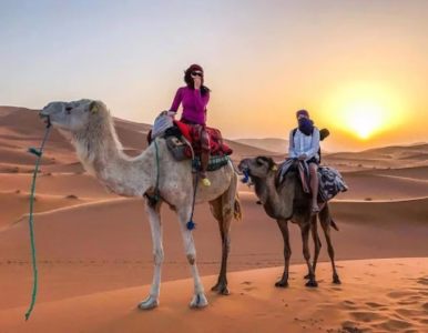 Sunset Camel Ride