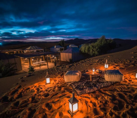 Night Under the Stars