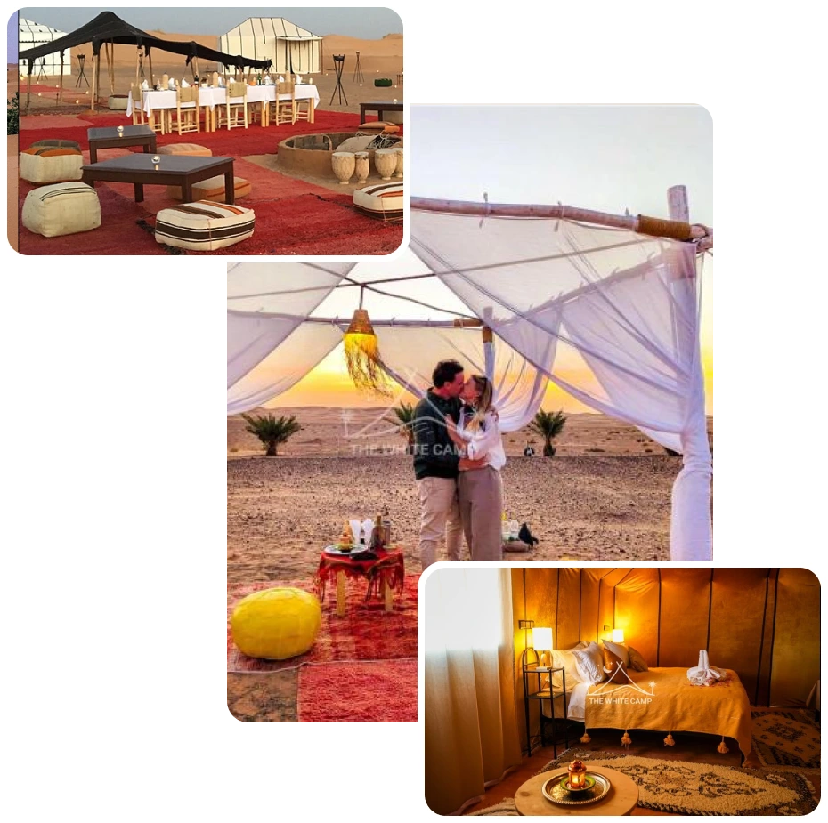 Image for The White Camp